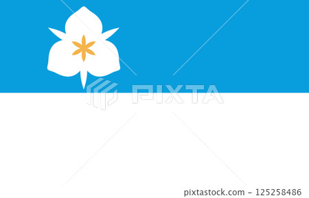 Salt Lake City - flag 125258486