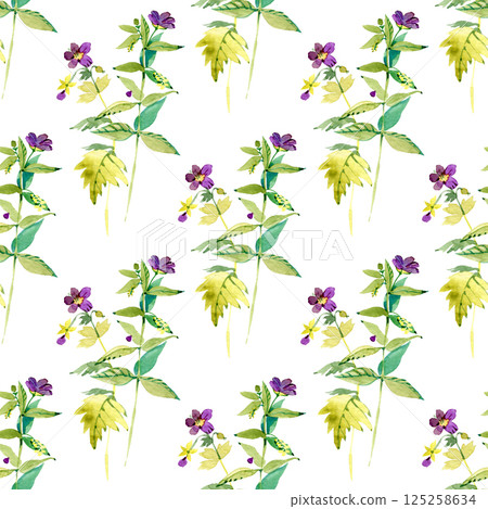 North America Wetland Wildflower Virginia Meadow Beauty Rhexia virginica Watercolor seamless pattern. Botanical illustration 125258634