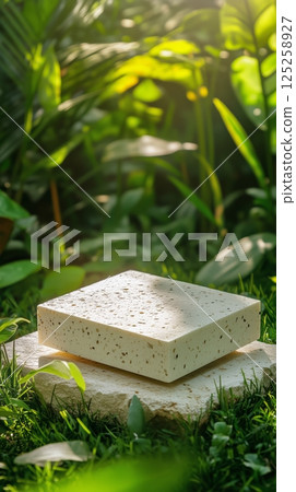 Delicious Tofu Block Resting on a Stone in a Lush Green Garden During the Golden Hour AI Generative Delicious Tofu Block Resting on a Stone in a Lush Green Garden During the Golden Hour AI Generative 125258927