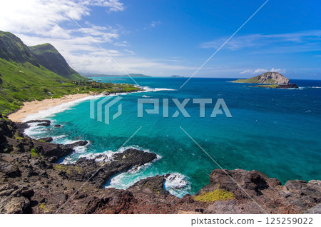 夏威夷風光【Makapuu Point Trail、Makapuu Beach】 夏威夷風光【Makapuu Point Trail、Makapuu Beach】 125259022
