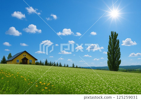 北海道美瑛郡的鄉村風景與瑪麗之樹 125259031