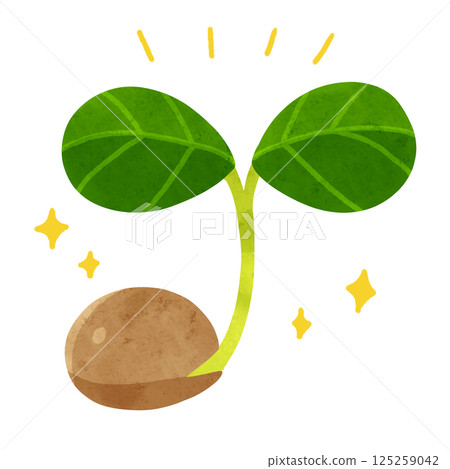 Two leaves sprouting from seeds - watercolor-style hand-drawn illustration 125259042