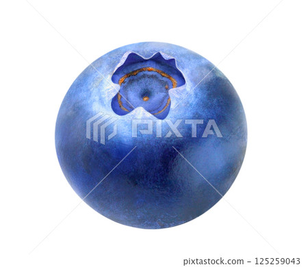 One fresh blueberry fruit isolated on white background 125259043