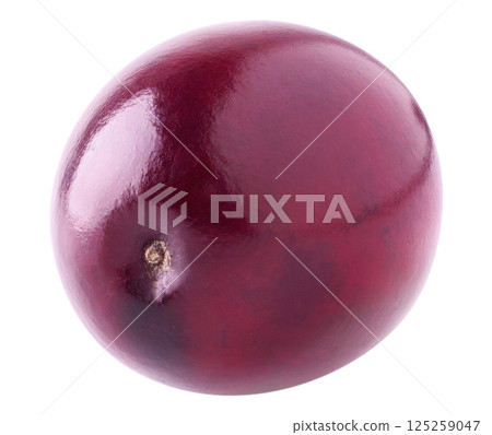 Cranberry fruit isolated on white background Cranberry fruit isolated on white background 125259047