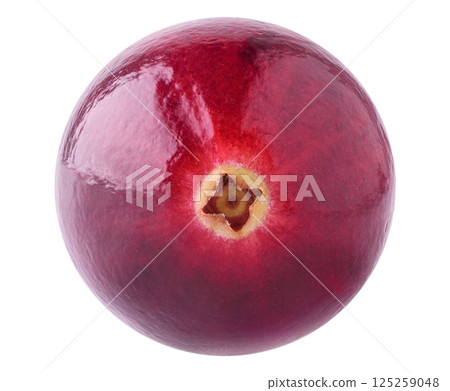 One fresh cranberry isolated on white One fresh cranberry isolated on white 125259048
