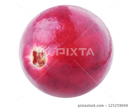 Fresh cranberry isolated on white background Fresh cranberry isolated on white background 125259049