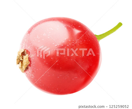 One berry of red currants isolated on white background 125259052