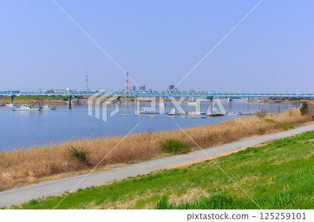 Near the mouth of the Edogawa River, Ichikawa City, Chiba Prefecture March 2025 125259101