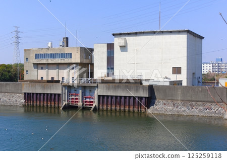 千葉縣市川市港水門週邊 2025年3月 千葉縣市川市港水門週邊 2025年3月 125259118