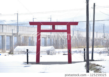 初春時節拍攝北海道北斗市櫻台神社境內 125259325