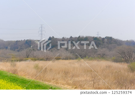 Chiba Prefecture, Kashiwa City, Oaoda no Yatsu March 2025 125259374