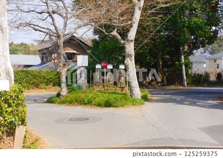 Around the Choshu Koshin Tower at the Three-Way Junction in Kashiwa City, Chiba Prefecture March 2025 125259375