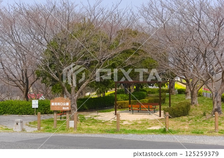 Around Canal Estuary Park, Nagareyama City, Chiba Prefecture March 2025 125259379
