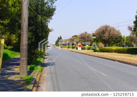 Sanbanze area, Funabashi City, Chiba Prefecture March 2025 Sanbanze area, Funabashi City, Chiba Prefecture March 2025 125259713