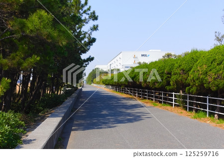 Sanbanze area, Funabashi City, Chiba Prefecture March 2025 Sanbanze area, Funabashi City, Chiba Prefecture March 2025 125259716
