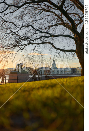 Admiralty embankment with lion monuments at the Palace Bridge at sunset, the Russian State Natural Science Museum in St. Petersburg, established by Peter the Great in 1714 125259765