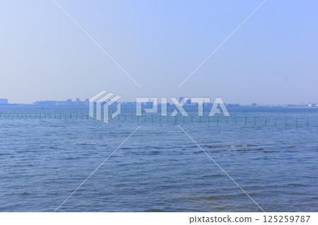 Sanbanze tidal flats area, Funabashi City, Chiba Prefecture March 2025 Sanbanze tidal flats area, Funabashi City, Chiba Prefecture March 2025 125259787