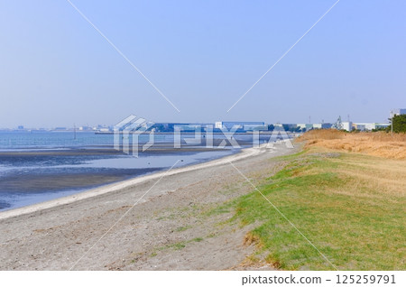 Sanbanze tidal flats area, Funabashi City, Chiba Prefecture March 2025 Sanbanze tidal flats area, Funabashi City, Chiba Prefecture March 2025 125259791