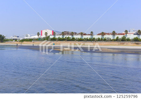 千葉縣船橋市三坂瀨灘塗地區 2025年3月 千葉縣船橋市三坂瀨灘塗地區 2025年3月 125259796