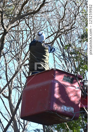 Background material for tree felling and maintenance work in parks and environmental improvement 125259982