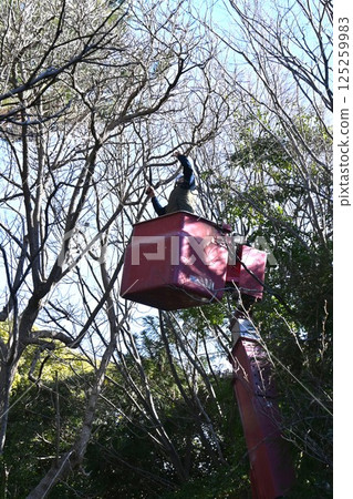 Background material for tree felling and maintenance work in parks and environmental improvement 125259983