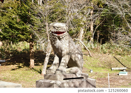 拍攝北海道北斗市藥師天滿宮的春天景色 125260060