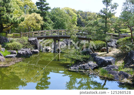 Shirotori Garden Camphor Tree Bridge Shirotori Garden Camphor Tree Bridge 125260528