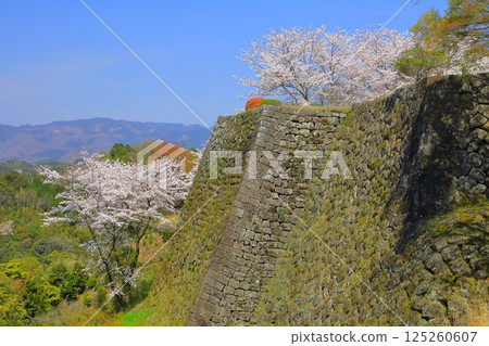 春岡城跡(竹田市) 春岡城跡(竹田市) 125260607