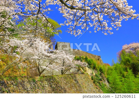 Spring Oka Castle Ruins (Taketa City) Spring Oka Castle Ruins (Taketa City) 125260611
