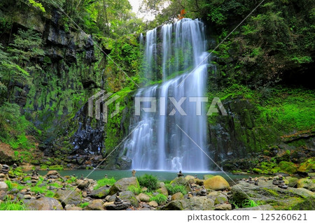 新綠的櫻花瀑布（日田市甘瀨町） 125260621