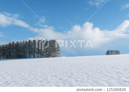 北海道田園風光：女滿別雪景 125260826
