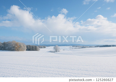 北海道田園風光：女滿別雪景 125260827