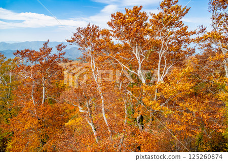 秋田:森吉山紅葉盛放 秋田:森吉山紅葉盛放 125260874