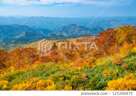 秋田：森吉山紅葉盛放 125260875