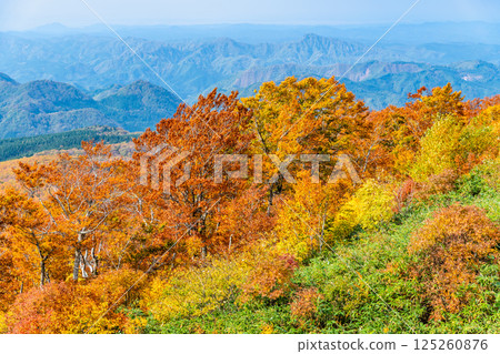 秋田：森吉山紅葉盛放 125260876