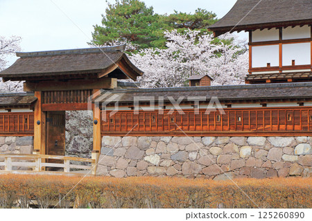 松代城遺址的櫻花盛開 125260890