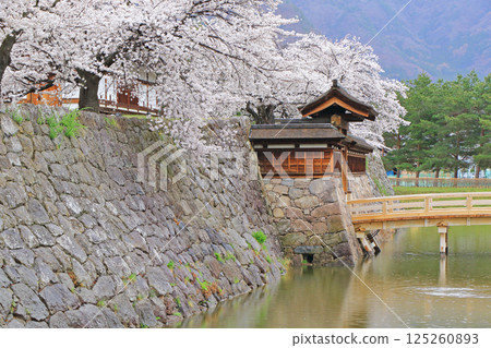 Cherry blossoms blooming at Matsushiro Castle ruins 125260893