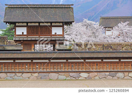 松代城遺址的櫻花盛開 松代城遺址的櫻花盛開 125260894