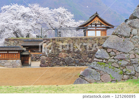 Cherry blossoms blooming at Matsushiro Castle ruins Cherry blossoms blooming at Matsushiro Castle ruins 125260895