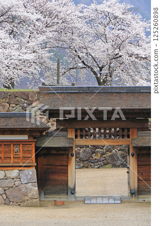 松代城遺址的櫻花盛開 125260898