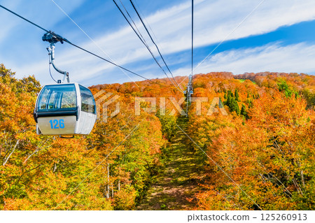 Akita - Mount Moriyoshi covered in autumn leaves - Ani Gondola 125260913