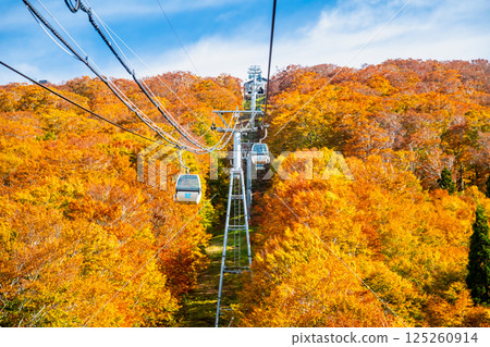 Akita - Mount Moriyoshi covered in autumn leaves - Ani Gondola 125260914