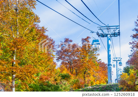 Akita - Mount Moriyoshi covered in autumn leaves - Ani Gondola 125260918