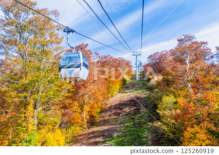 秋田 - 森吉山紅葉 - 阿仁纜車 秋田 - 森吉山紅葉 - 阿仁纜車 125260919