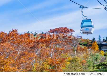 Akita - Mount Moriyoshi covered in autumn leaves - Ani Gondola 125260920