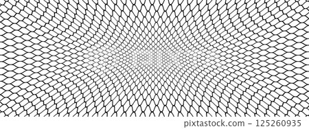 Warped soccer or fishing net. Wire or lace pattern. Black mesh texture isolated on white background. Metallic or fabric fence, trapping net, cage or lattice structure. Vector graphic Illustration. 125260935