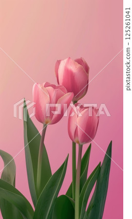 Tulips flower pink beauty story background 125261041