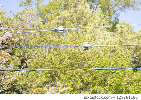 Japanese telegraph poles electricity wires utility poles wiring energy electricity 125261166