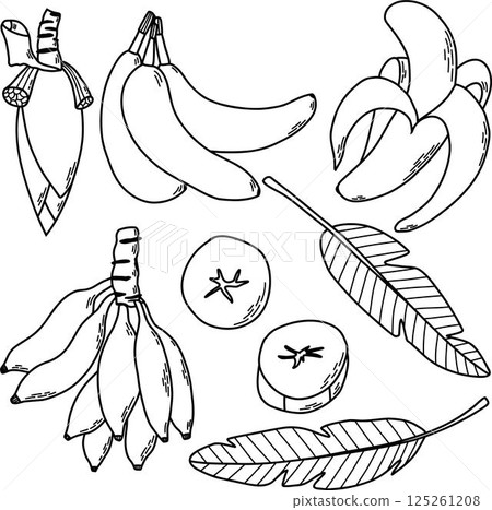 Hand-Drawn Banana Illustrations Including Leaves, Slices, and Peeled Bananas 125261208