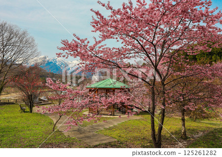 從櫻花公園眺望谷川山 從櫻花公園眺望谷川山 125261282